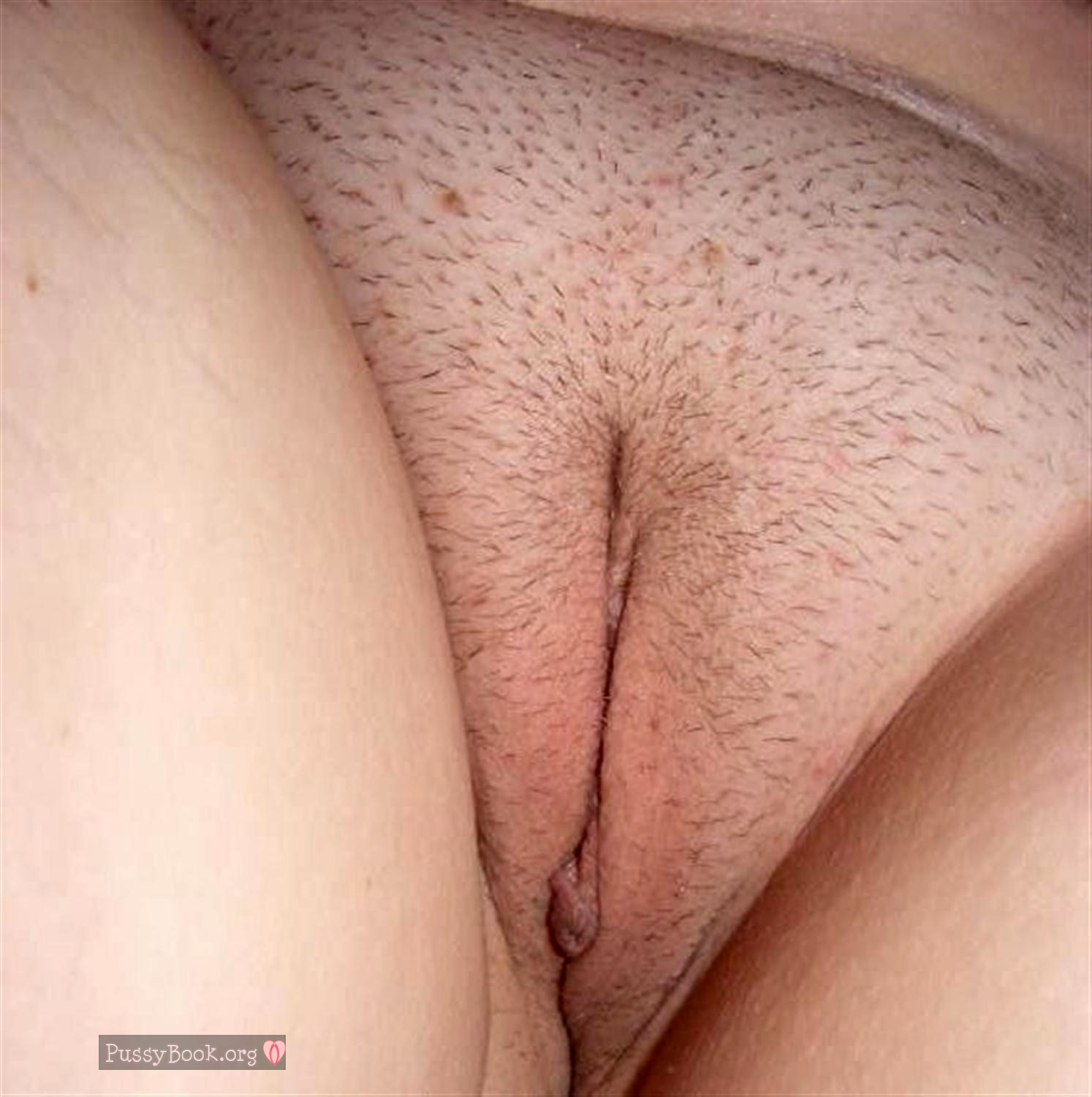 Free chubby shaved pussy