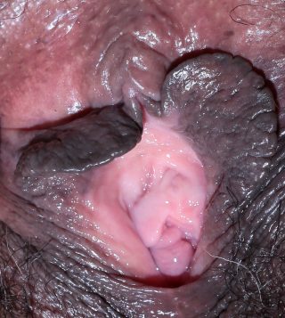 320px x 357px - extreme close-up black vagina hole Nude Girls Pictures