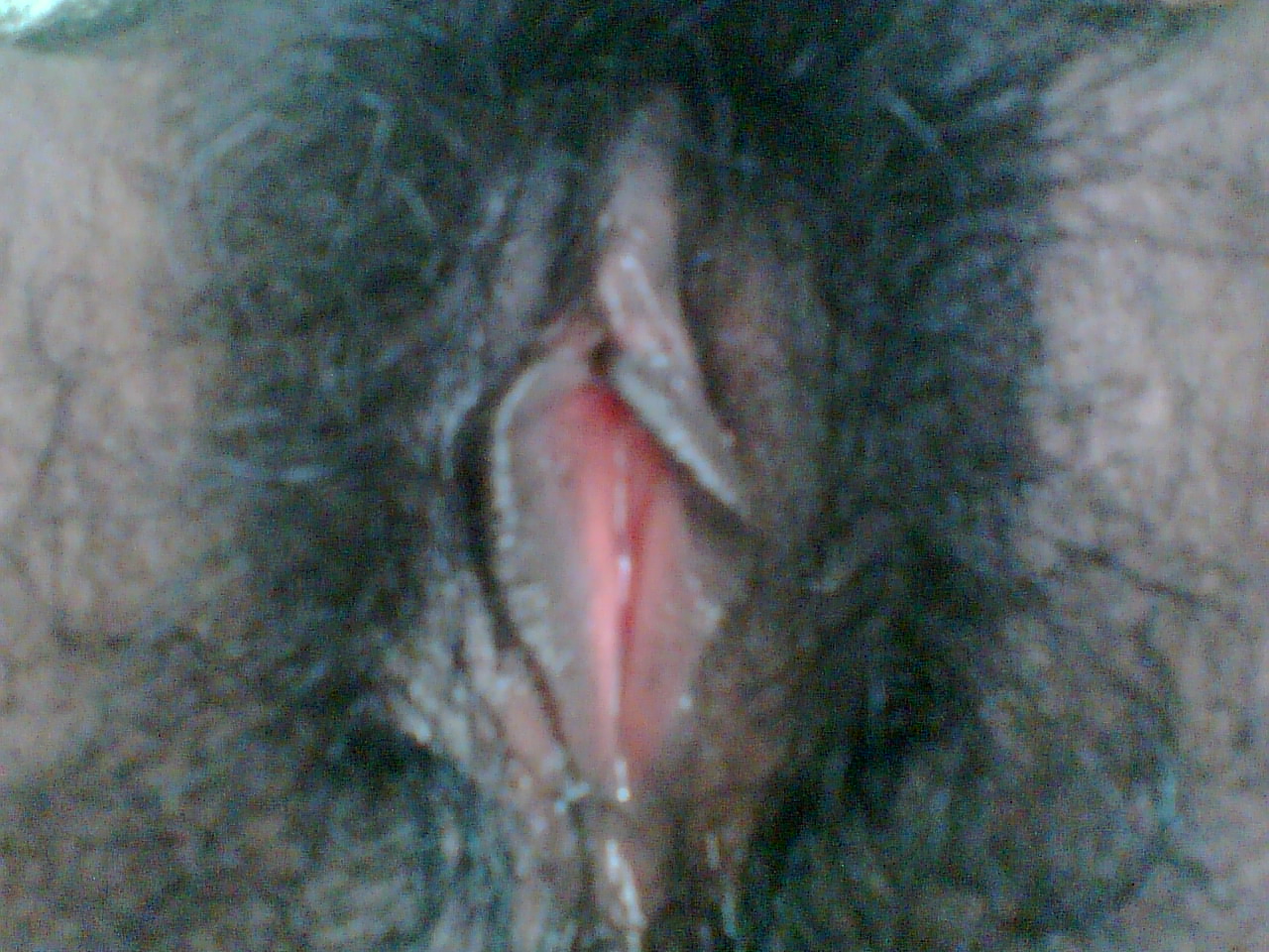 Sri Lankan Hairy Pussy Close Up Pussy Pictures Asses Boobs