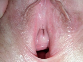Open Pussy Closeup - Wide Open Close-Up Large Vagina Hole Nude Girls Pictures